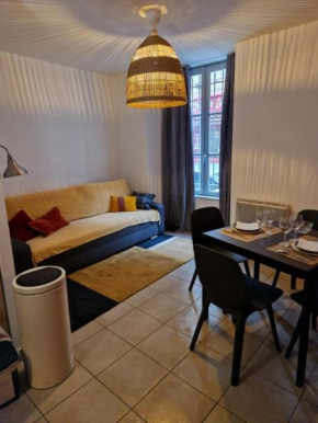 Appartement T2 Rue st jean le vieux